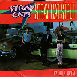 straycatstrut